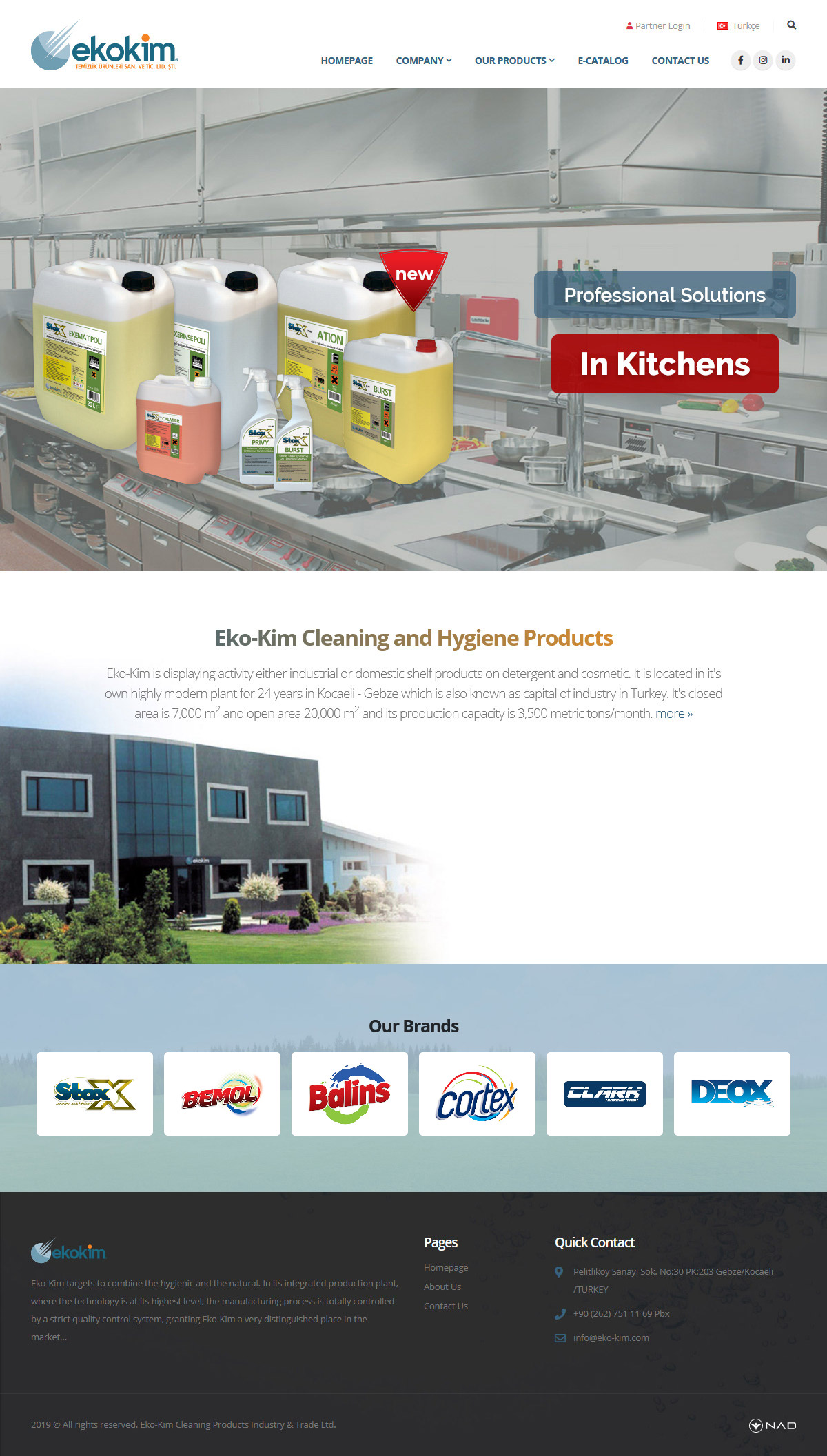 Web Design, Eko-Kim Cleaning Products Ltd.